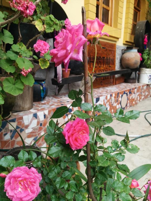 Hostal Curinan Otavalo Εξωτερικό φωτογραφία